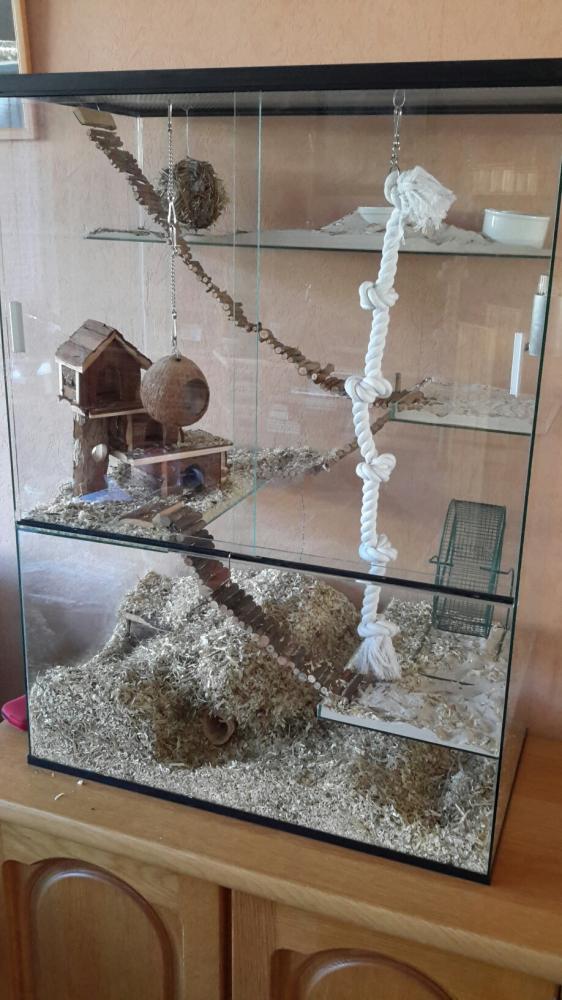 75x40x100 Gerbil / Degoe kooi van glas met schuifruiten